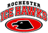 Minnesota Ice Hawks