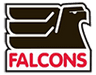 Highland Park Falcons 18U AA