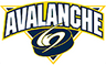 North Jersey Avalanche