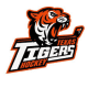 Texas Tigers 16U A