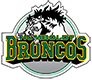 Humboldt Broncos U15 AA