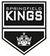 Springfield Kings 18U AA