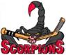 Saint John Scorpions