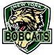 New York Bobcats