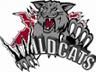 Windsor Wildcats