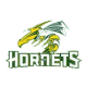 Gravelbourg Hornets
