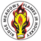Ridge Meadows Flames
