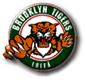 Brooklyn Tigers U16