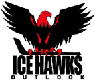 Outlook Ice Hawks