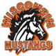 Wisconsin Mustangs