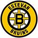 Estevan Bruins U18 AA