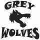 Grey Wolves Tbilisi