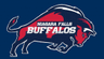 Niagara Falls Buffalos