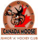 Toronto Canada Moose