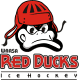 Red Ducks Team
