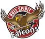 Holy Spirit Falcons