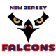 New Jersey Falcons 14U A