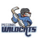 Peconic Wildcats 18U A