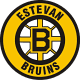 Estevan Bruins