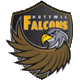 EV Huttwil Falcons