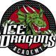 Ice Dragons Telč U17