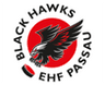 EHF Passau Black Hawks II
