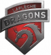 Collège Laflèche Dragons