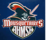 St-Hyacinthe Mousquetaires M18 AA