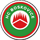 HC Boskovice U17