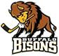 Buffalo Bisons 16U