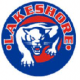 Lakeshore Panthers M18 AA