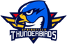Springfield Thunderbirds 18U AAA
