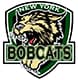 New York Bobcats 16U AAA