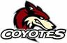Richmond Hill Coyotes U18 AAA