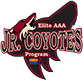 Phoenix Jr. Coyotes 16U AAA