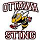 Ottawa Sting U14 AA