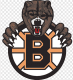 Boston Little Bruins 18U AAA