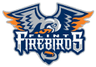 Flint Jr. Firebirds 16U A