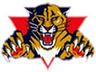Lakeland Panthers U16 AA