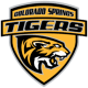 Colorado Springs Tigers U19