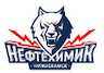 Neftekhimik Nizhnekamsk U18