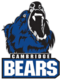 Cambridge Bears