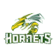 Gravelbourg Hornets