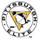Pittsburgh Penguins Elite