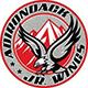 Adirondack Jr. Wings