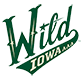 Iowa Wild 18U AAA