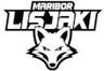 HK Maribor U19