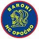 HC Baroni Opocno U20