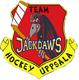 Team Jackdaws