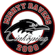 Linköping Mighty Ravens J20